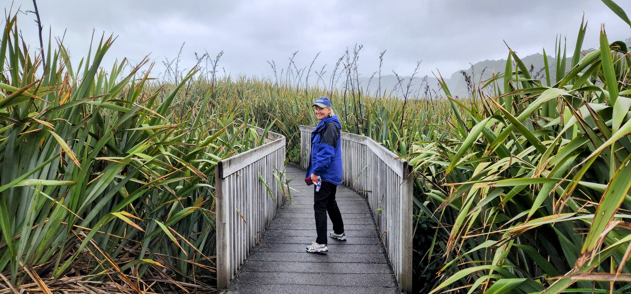 The Pancake Rocks in Punakaiki, a quick stop on our New Zealand ...
